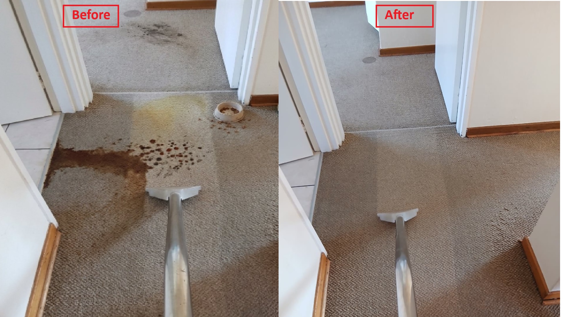 carpet